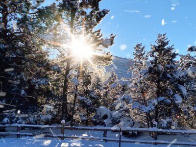 Sunburst through the trees in the snowy mountains of Purgatory Ski Resort in Durango, CO