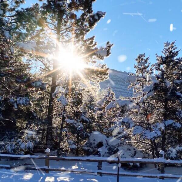 Sunburst through the trees in the snowy mountains of Purgatory Ski Resort in Durango, CO