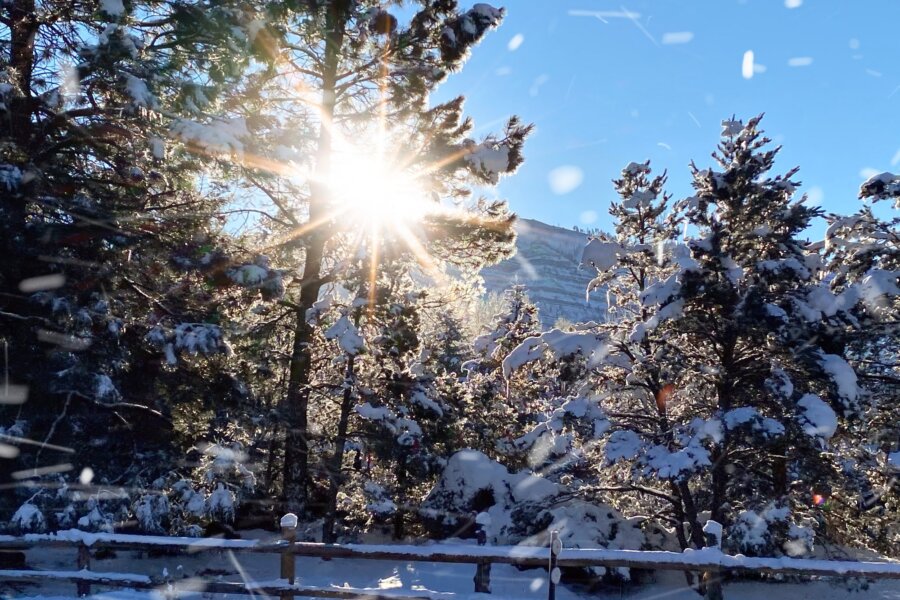 Sunburst through the trees in the snowy mountains of Purgatory Ski Resort in Durango, CO