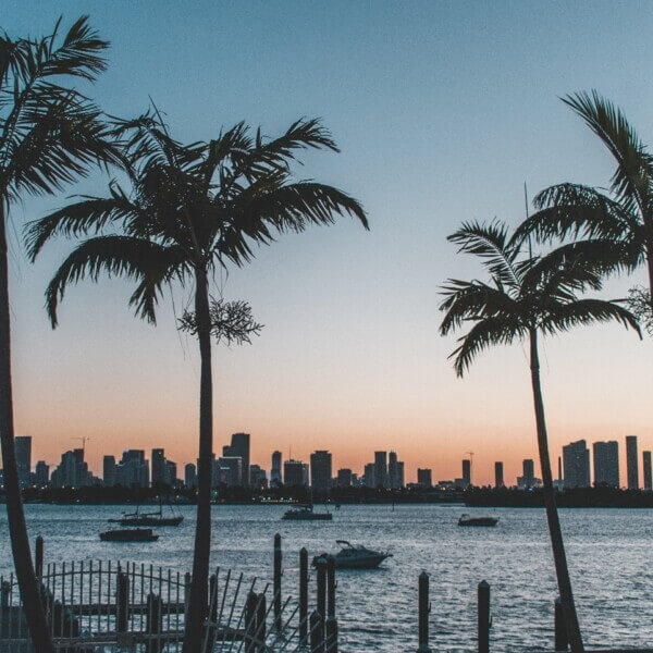 The Miami skyline at dusk with trees in the foreground and boats and buildings in the background.
