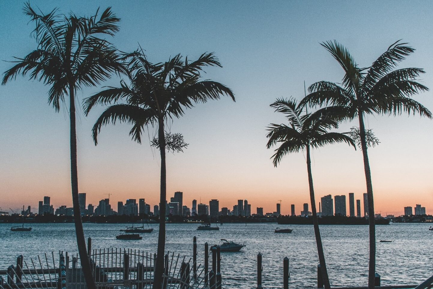 The Miami skyline at dusk with trees in the foreground and boats and buildings in the background.